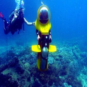 کلوپ دنیای زیر آب